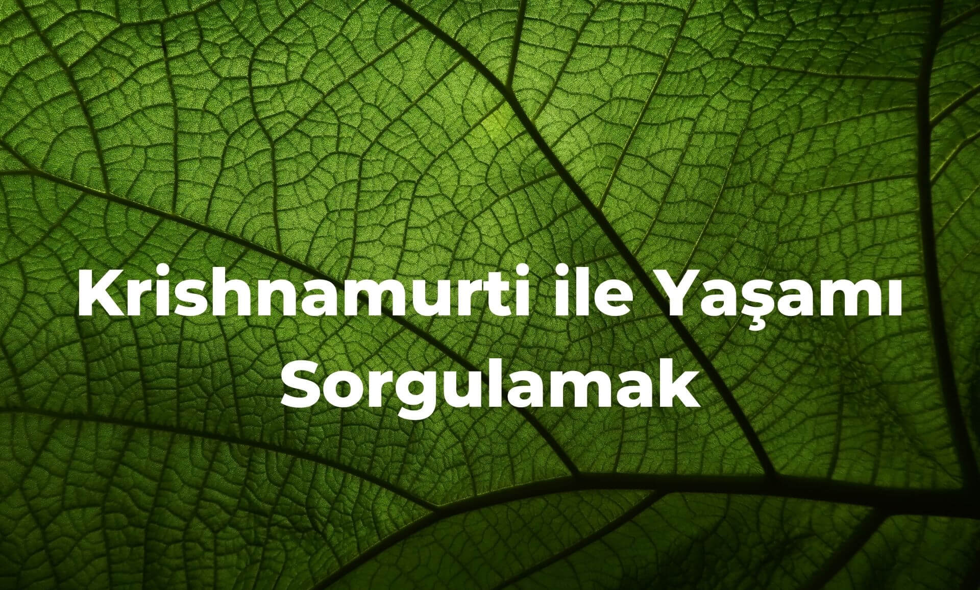Krishnamurti ile Yaşamı Sorgulamak