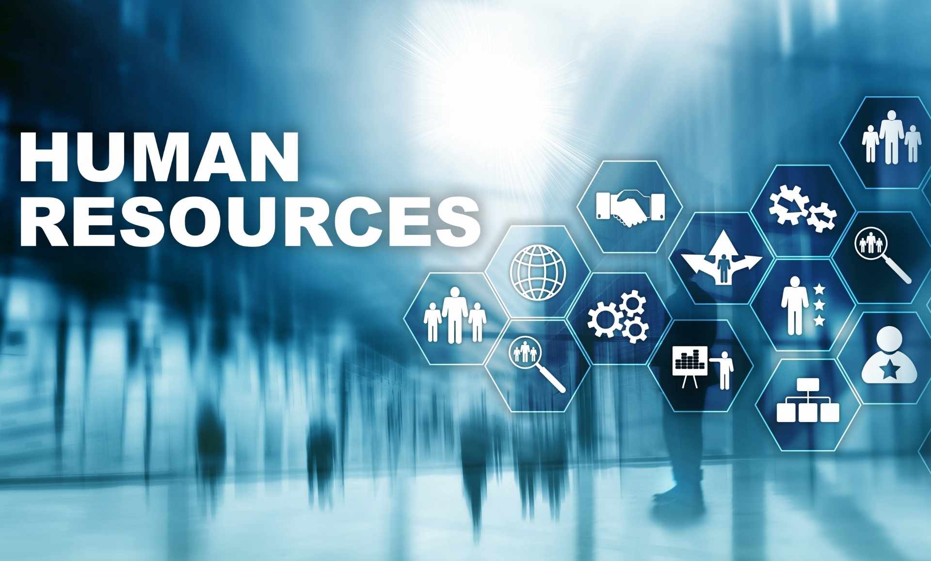 İnsan Kaynakları İnsan Kaynakları