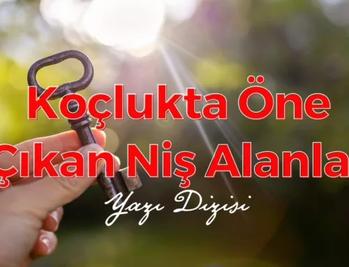 Koçlukta Öne Çıkan Niş Alanlar