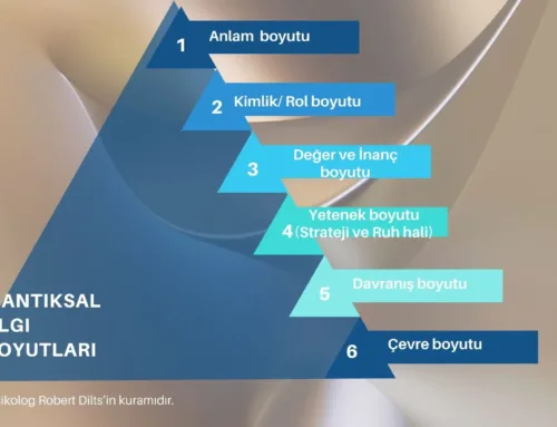 NLP Mantıksal Algı Boyutları – Koçlar İçin Uygulama Aracı